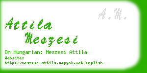 attila meszesi business card